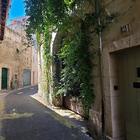 Wifi - Hypercenter - In The Heart Of Avignon! Apartment Екстериор снимка